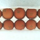 청미래농장 이미지