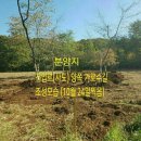 살기좋은 청정지역 김포시 월곶면 용강리 토지 / 평당 30만원 이미지