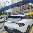 러브 스핑크스 이미지