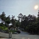 트리캠핑장 | 내돈내산 인천 영흥도 블랙트리 캠핑장 후기