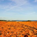 신풍캐빈 이미지