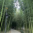 구례의길(섬진강길) 이미지