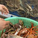 준이수산 | 대구대게맛집 🦀 매천시장 준이수산 포장 후기