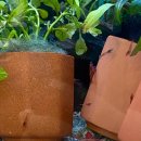 우진아쿠아 이미지