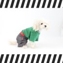 미키루키 이미지