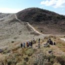 황매산 억새축제 이미지