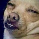 설문목장 이미지