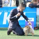 해요스테이 이미지