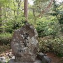 북마성마을회관 | 한라산 영실코스~어리목 - 윗세오름 정상에서 만난 한라산 분화구