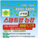 클로버농장 이미지