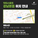 닥터스칼프강남