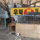 강화도 가성비 호텔 추천, 동막해수욕장까지 픽업 가능한 [카리브호텔] 후기