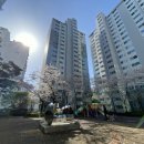 중앙1로 이미지