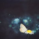 동탄복합문화센터 이미지