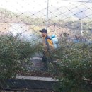 복이네 농장 이미지