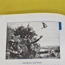 아미정보통신