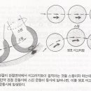 관절와상완골 관절(Glenohumeral Joint) Ⅰ. 이미지