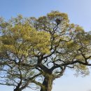 길중농장 이미지