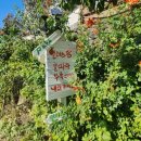 기획연주회 클래식 맛집 콘서트 | 이색 데이트 코스 섀도우 콘서트 바이올린 연주회 알레스 아트 관람 후기 | 공연 시간 근처 놀거리...