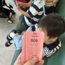 천성선착장(임시1) | 아이와 서울숲-여의도 한강버스 타본 후기 | 시간표 요금 및 꿀팁까지