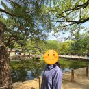 종묘주차장 옆 | 종묘 입장시간 공영주차장 해설 데이트 후기 총정리