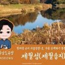 제월 Daum카페