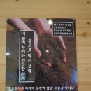 운문산식육점 | 청도 힐링데이트. 비슬산 허브마을 효소찜질 + 운문산가든