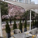 [아산] 내돈내먹 탕정 브런치 카페 추천, 크레아또