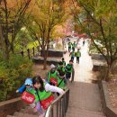 태비 태권도장 이미지