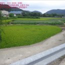 내서읍519 이미지