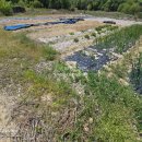 옥천 공인중개사사무소 이미지