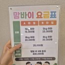 부산애견 이미지