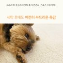 캠핑트렁크 이미지