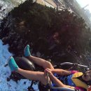 돼지날다 이미지