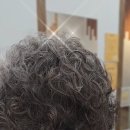 시니어미용실 티스토리