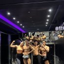 메이트 피티 이미지