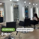 수헤어 | 논현역 미용실 주헤어 클리닉 받고 머릿결 되살린 후기