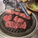 투데이보틀 이미지