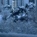 2월 일상 : 가장 짧은 달이지만 가장 길었던 한 달