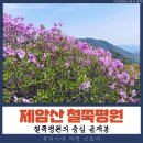 철쭉 평원의 중심 보성 곰재봉 산행기 그리고 개화 상태 미리 살펴보기