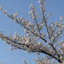 갈산공원(중간) 이미지