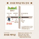 르네헤어샵