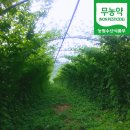 구로-구로-구로-1576 이미지