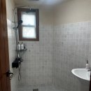 로만티카 | 강화도 애견동반펜션 로만티카 애견리조트 재방문 추천 수영장 무료 조식 후기 및 물림 사고