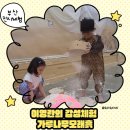 김해문화의전당 스포츠동 화장실 | 부산 영화의전당 가루나무모래흙 | 아이와 즐기는 오감자연체험전 후기