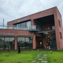 더멍멍컴퍼니 이미지