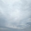 사천 희망길 | 당일치기 강원도여행(장안횟집, 사천해변, 도깨비시장, 콩방앗간, 양양서피비치, 모녀가리비, 남경막국수)
