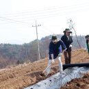 파로호생태마을 이미지