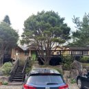 강물소리펜션 이미지