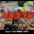 와이엔케이렙타일